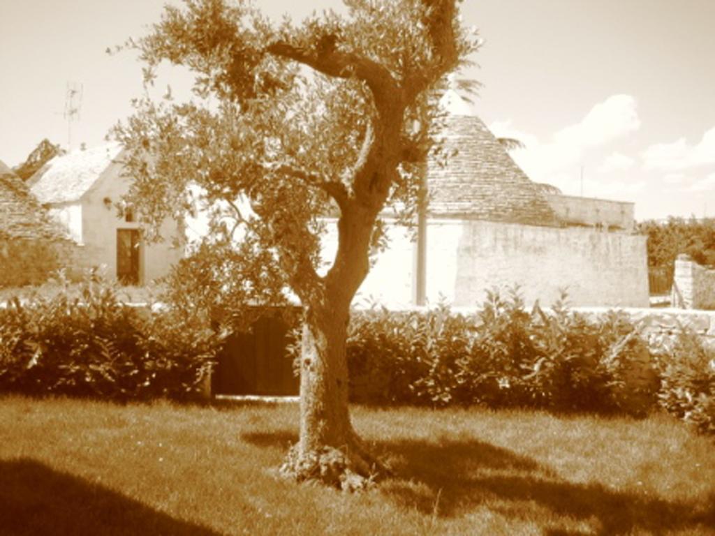 La Trullesa Holiday Alberobello Luaran gambar